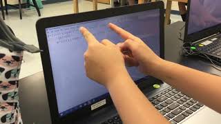 Week 5: Python Coding Loop Explanation