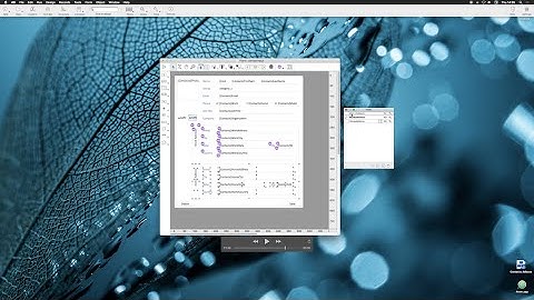 4D Project: Improved views in the form editor
