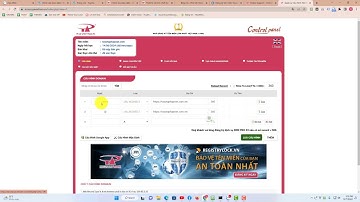WPFast - Hướng dẫn sử dụng tên miền mua ở PAVietnam