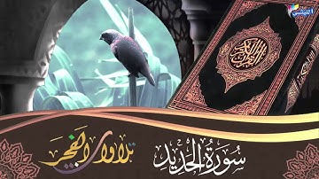 الشيخ محمد حامد السلكاوى وقرآن الفجر الرائع 14 9 2020 سورة الحديد