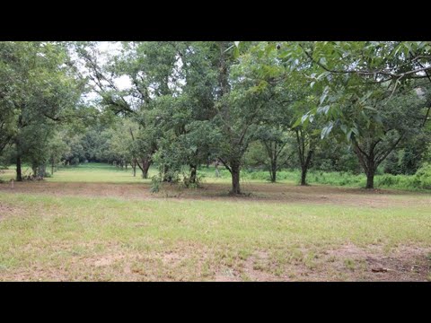 2624 Lonesome Road, Albany, GA home video tour