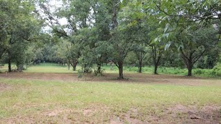 Lots And Land for sale - 2624 Lonesome Road, Albany, GA 31701