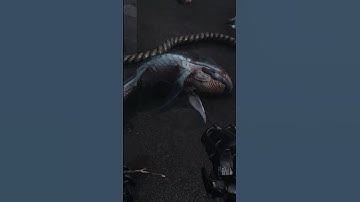 Low Ray Tracing vs Ultra Ray Tracing