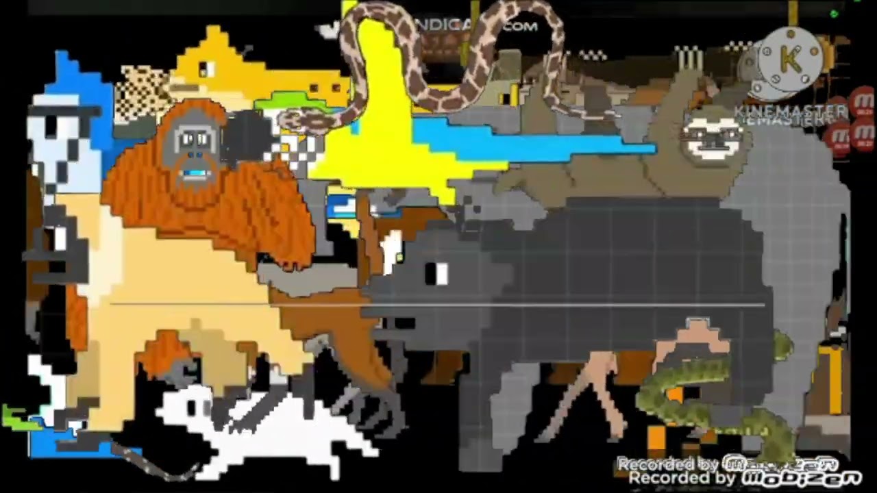 Animal stampede add round 4 the kids picture show