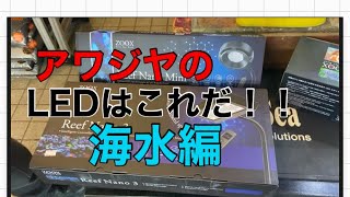 These Are Awajiya's Recommended LEDs! Saltwater Edition - YouTube