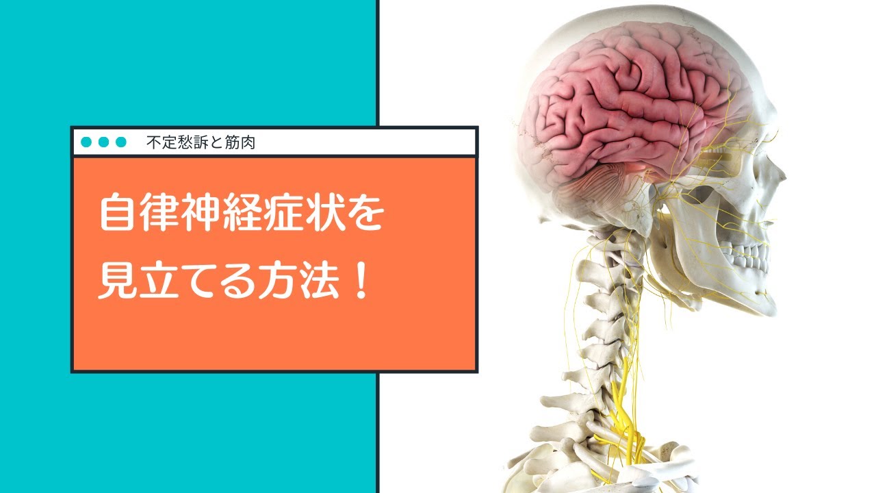 自律神経症状を見立てる方法 本当に治せる治療家を創出するplt協会