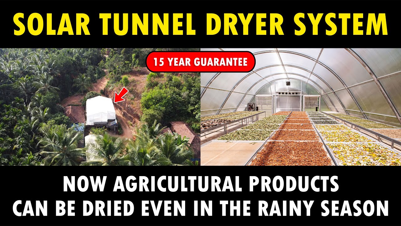 Solar Tunnel Dryer System Solar powered Agricultural dryer for
