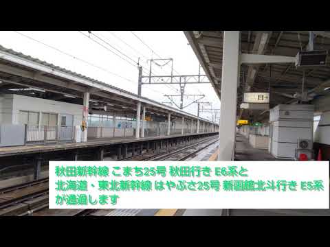 秋田新幹線 こまち25号 秋田行き E6系と北海道・東北新幹線 はやぶさ25号 新函館北斗行き E5系 2021.08.14