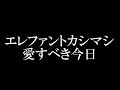 エレファントカシマシ/愛すべき今日