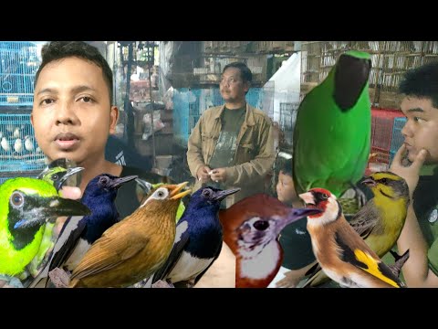 Orang Ikhlas, Pasti Punya 5 Hal Ini | Dr. H. Fahruddin Faiz, S.Ag M.Ag | Ngaji Filsafat