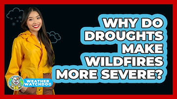 Why Do Droughts Make Wildfires More Severe? - Weather Watchdog