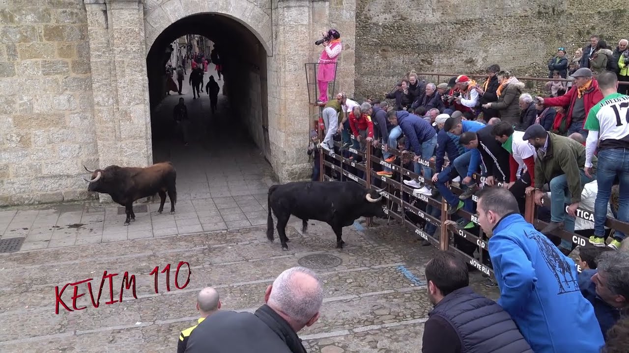 Ciudad Rodrigo 2023 Carnaval ,Encierro del Martes