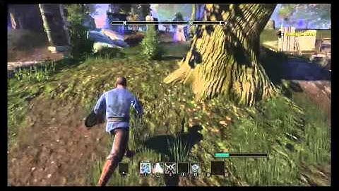The Elder Scrolls Online Gameplay Part 6 First Ultimate Skill