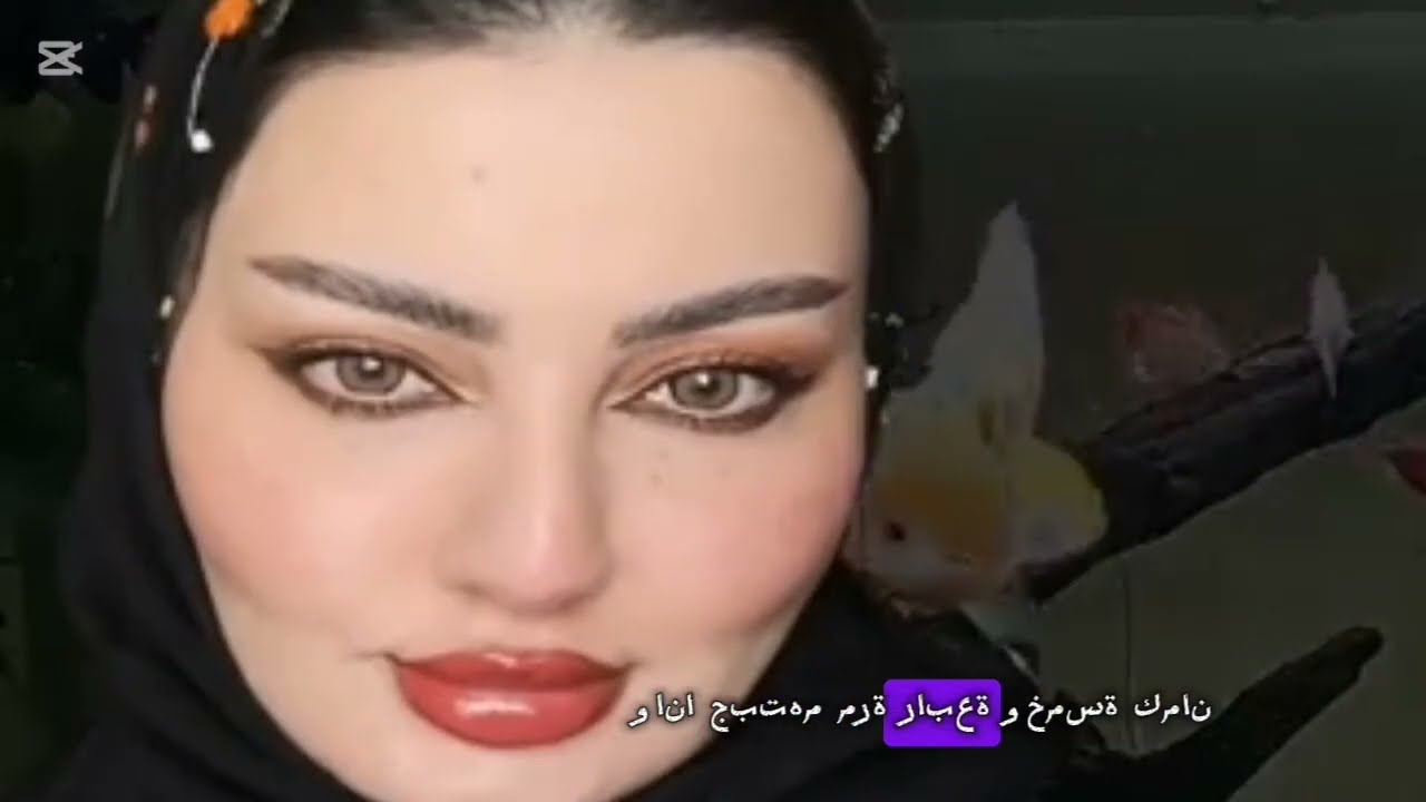 الميكانيكي  حقيقية.
