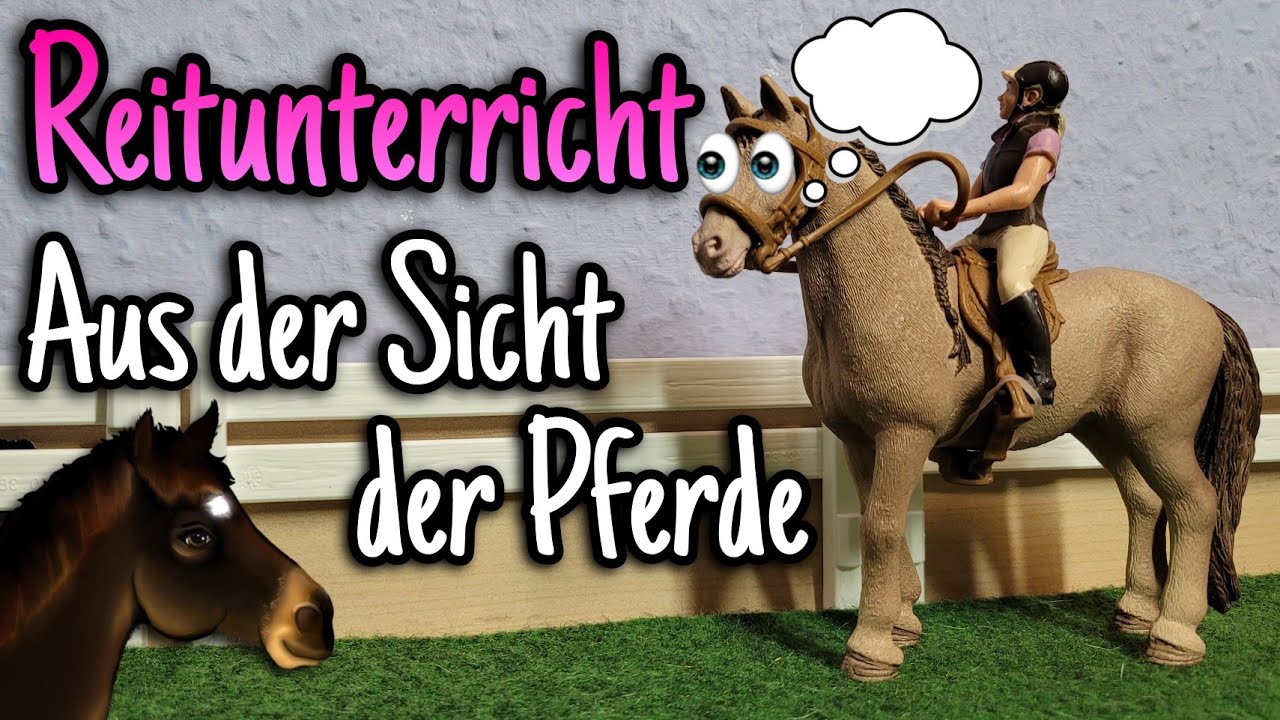 Reitstunde aus der Sicht der Pferde 👀🐴 | Reitunterricht #1