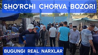 SHO'RCHI MOL BOZORI 07.06.2026y