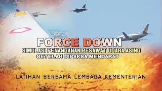 PESAWAT F16 TNI AU PAKSA TURUN PESAWAT UDARA ASING