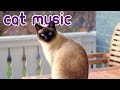 15 HOURS of Deep Stress Relief Cat Music! Music to Help Your Cat Sleep