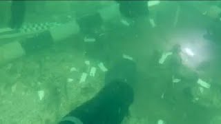 7,000-year-old Native American burial site discovered near Venice