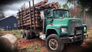 Hauling Wood on a Mack DM. Loading AutoCar with Stumps and Brush