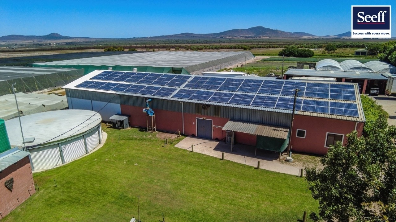 Thriving High-Yield Vegetable Farm – 50km from Cape Town