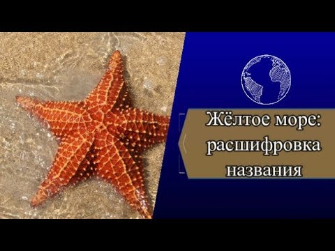 Жёлтое море: расшифровка названия, основные факты