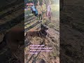 on fait une belle petite démonstration en expliquant plein de choses à ses enfants