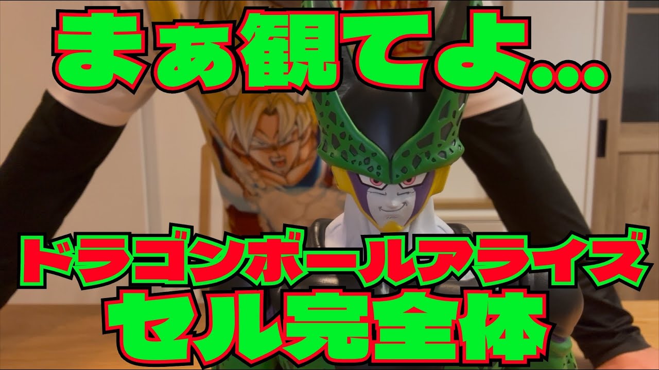 DB [Review] I Bought the Perfect Form Cell Figure, but Is It