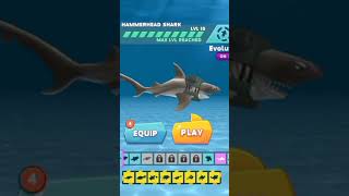 All My Sharks Hungry Shark Evolution Shark World Shark Evolution Shark