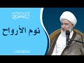 ما يقوله القرآن في آية الكرسي 15 نوم الأرواح سماحة الشيخ فاضل الصفار 