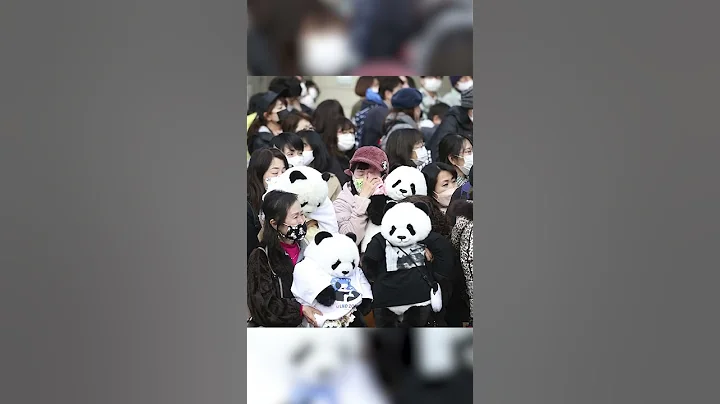 Japanese tearfully bid adieu to Chinese pandas - DayDayNews