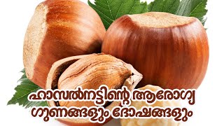 ഹാസൽനട്ടിന്റെ ആരോഗ്യ ഗുണങ്ങളും ദോഷങ്ങളും | Hazelnut Health Benefits and Disadvantages | Learnlabs