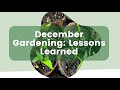 December Gardening: Lessons Learned, Planning &amp; Practical Tips for Next Season