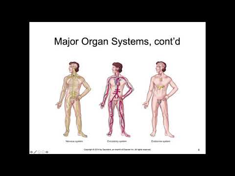 Chapter 01 MOD podcastQT