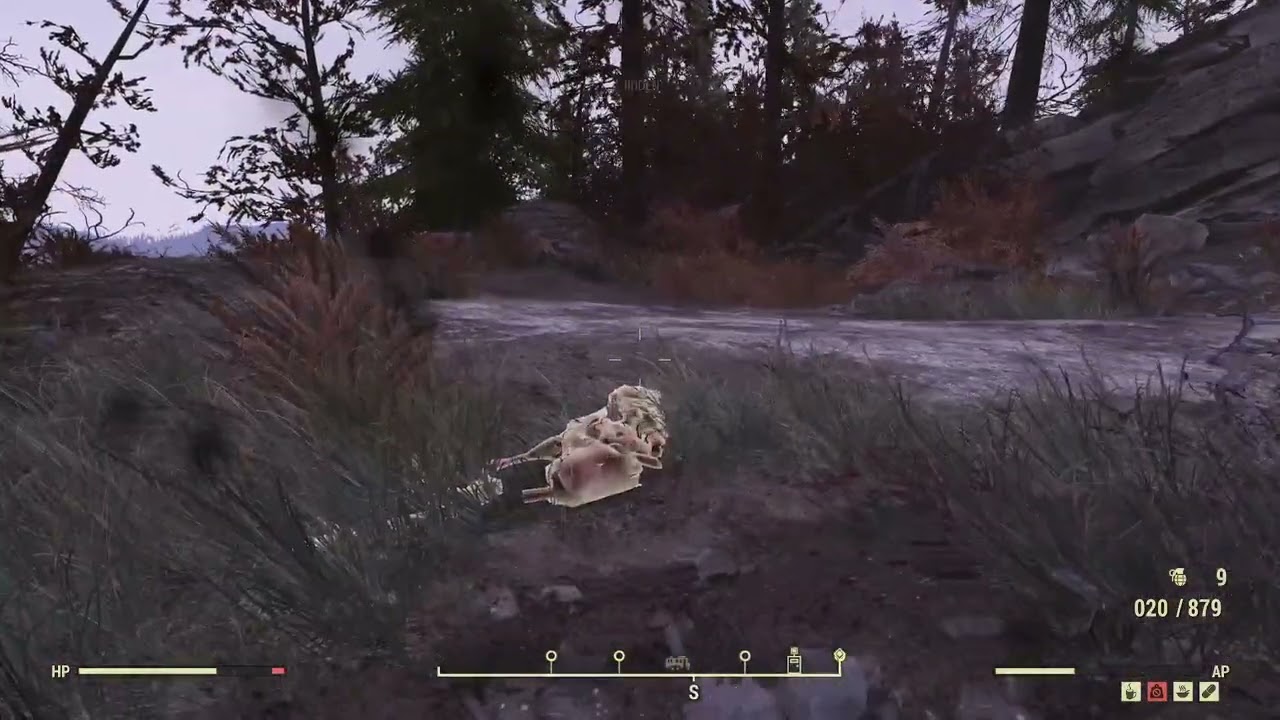 Highlight: Lone GameDev Wondering In Fallout 76