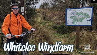 Whitelee Windfarm