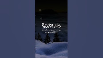 #تلاوة_خاشعة  آيات من كتاب الله راحة لقلبك وسمعك #اكسبلور #دويتو #القرآن_الكريم #الرحمن #لايك #duet