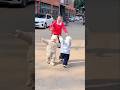 When Two Toddlers Meet, The Ending is Unexpected!