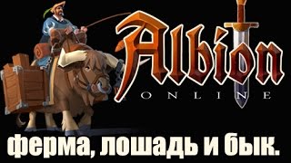 Albion online. Как купить остров, построить ферму и вырастить лошадь.