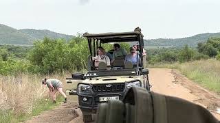 Pilanesberg National park #south Africa