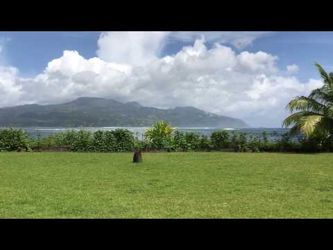 A vendre - PAPEARI superbe propriété en bord de plage de 3000 m2