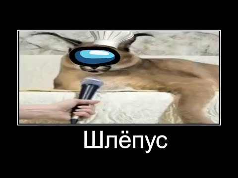 Мем Шлёпа разными