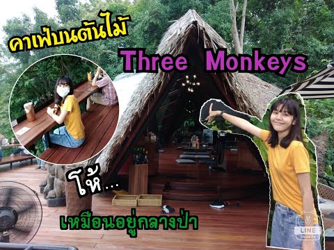 Three Monkeys Restaurant คาเฟ่บนต้นไม้ ,Phuket