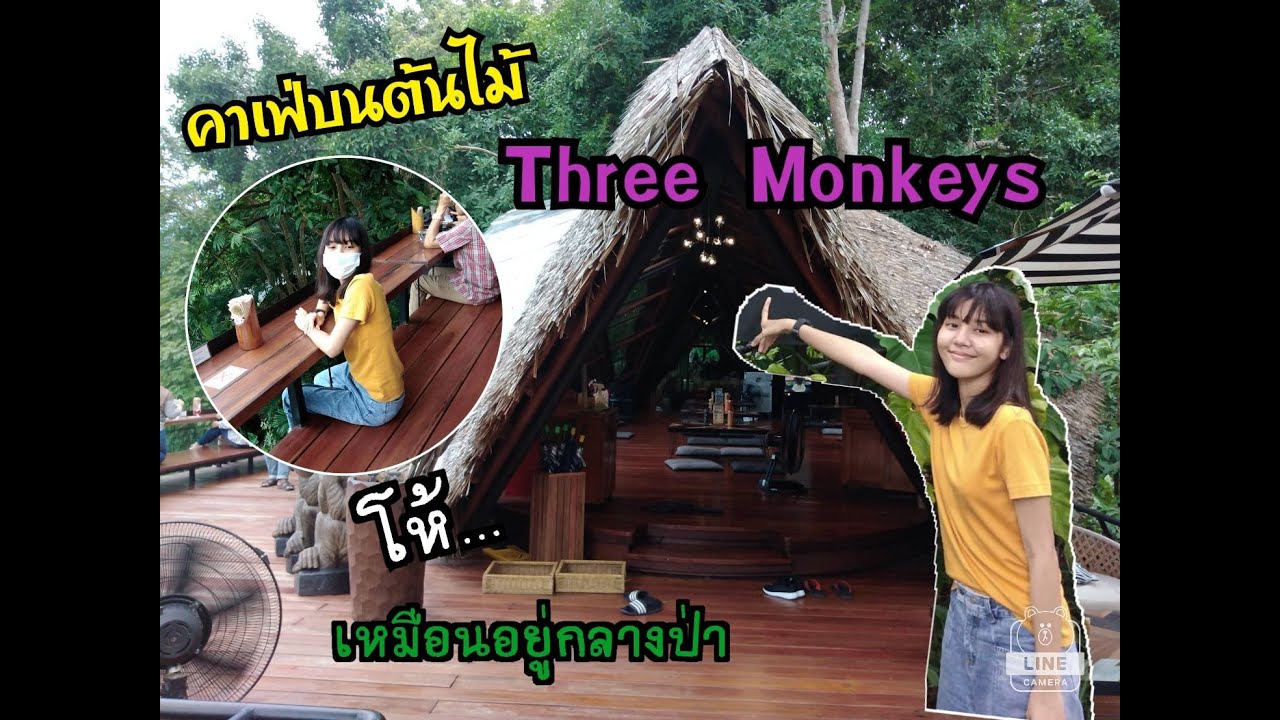 Three Monkeys Restaurant คาเฟ่บนต้นไม้ ,Phuket | three monkeys restaurantเนื้อหาที่เกี่ยวข้องล่าสุด