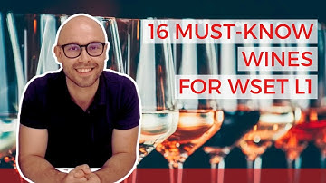 16 MUST KNOW Wines for WSET Level 1 in Wines (+10 WSET exam-type questions)