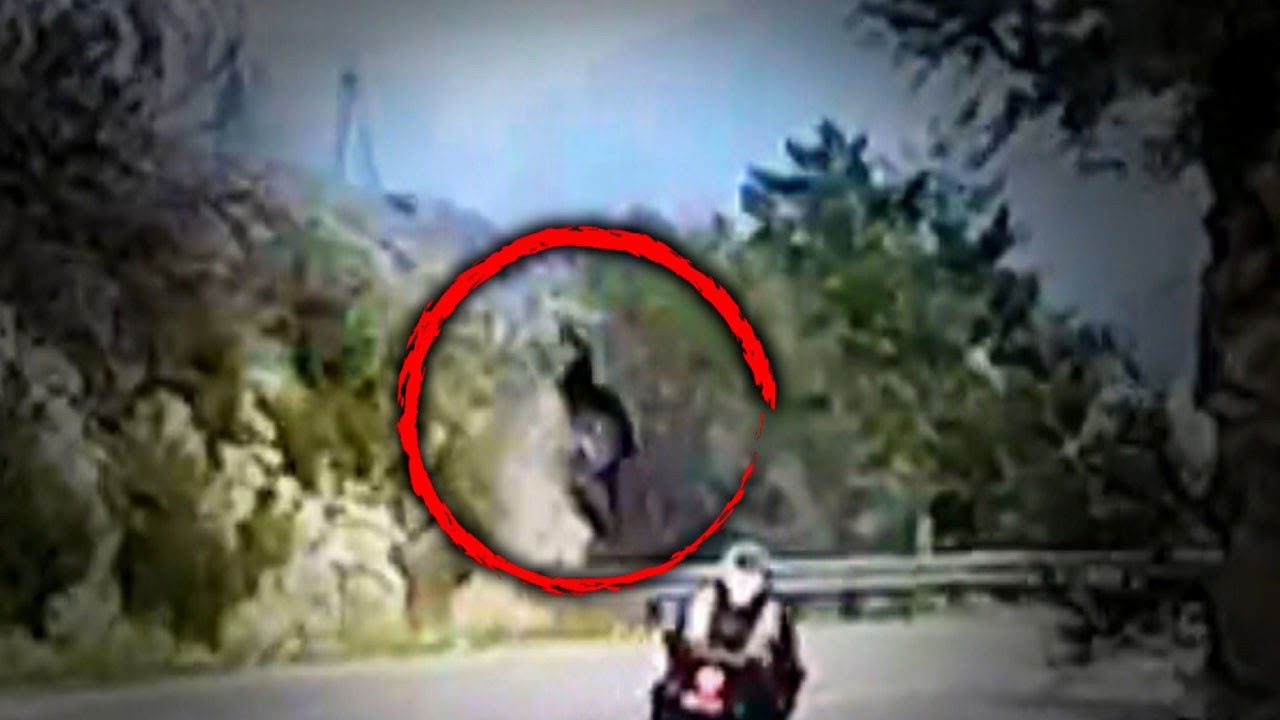 This Video Shows the Horrifying Moment a Woman Was Attacked By a Tiger This Video Shows the Horrifying Moment a Woman Was Attacked By a Tiger new pics This Video Shows the Horrifying Moment a Woman Was Attacked By a Tiger This Video Shows the Horrifying Moment a Woman Was Attacked By a Tiger new foto