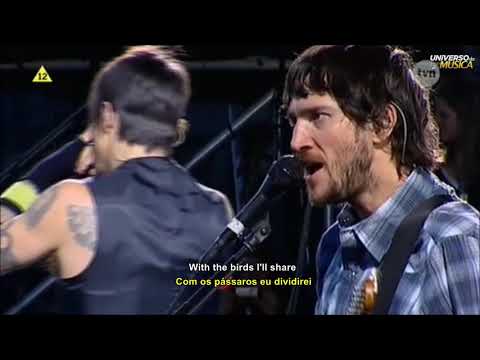 Red Hot Chili Peppers - Scar Tissue (Live in Poland 2007) Legendado em (Português BR e Inglês)