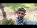 #talala farm 