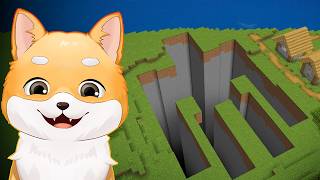 Ce Am Gasit Noi In Smp 