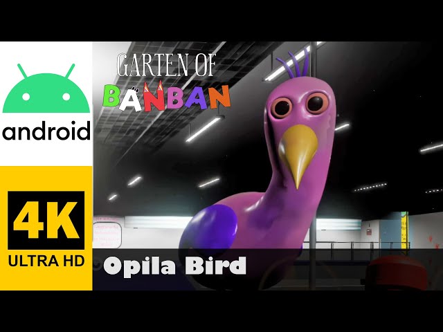 Opila Bird Wallpapers 4K HD - Apps on Google Play